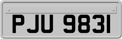 PJU9831