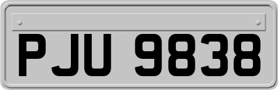 PJU9838