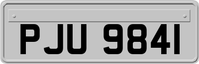 PJU9841