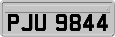 PJU9844