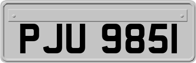 PJU9851