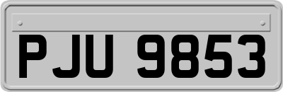 PJU9853