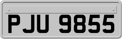 PJU9855