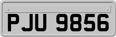 PJU9856