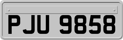 PJU9858