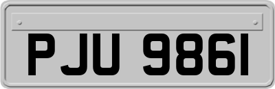 PJU9861