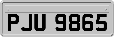 PJU9865