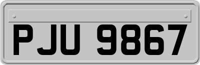 PJU9867