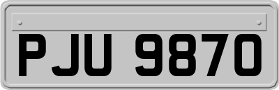 PJU9870