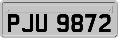 PJU9872
