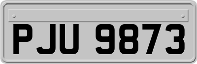 PJU9873