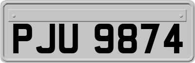 PJU9874