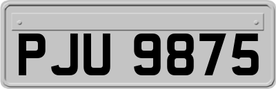 PJU9875