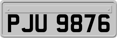 PJU9876