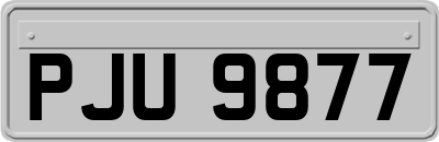 PJU9877