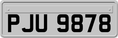PJU9878