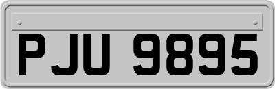 PJU9895