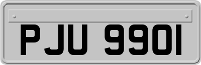 PJU9901