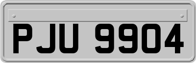 PJU9904