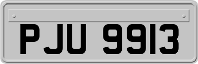 PJU9913