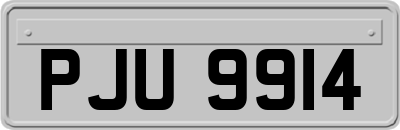PJU9914