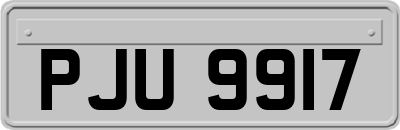 PJU9917