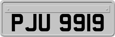 PJU9919