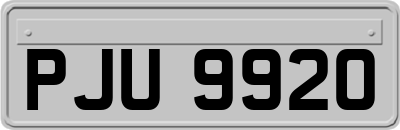 PJU9920