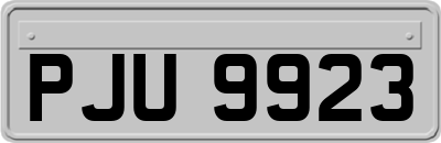 PJU9923