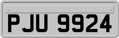 PJU9924