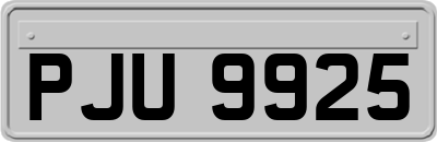 PJU9925