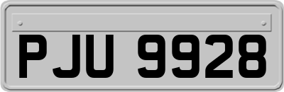 PJU9928