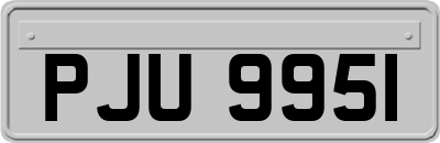 PJU9951