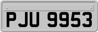 PJU9953
