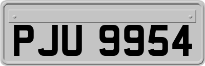 PJU9954
