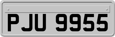 PJU9955