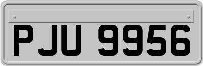 PJU9956