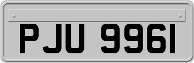 PJU9961