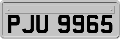 PJU9965
