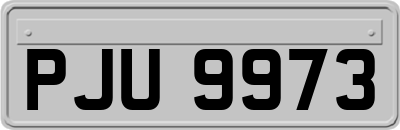 PJU9973