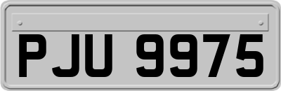 PJU9975
