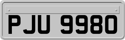 PJU9980