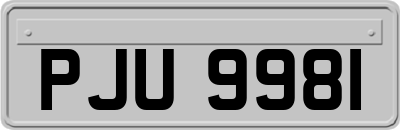 PJU9981