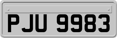 PJU9983