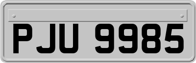PJU9985