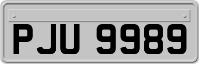 PJU9989