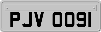 PJV0091