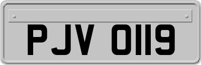 PJV0119