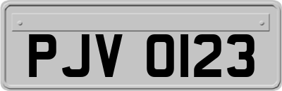 PJV0123