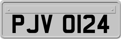 PJV0124